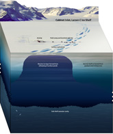LarsenC ice shelf graphic